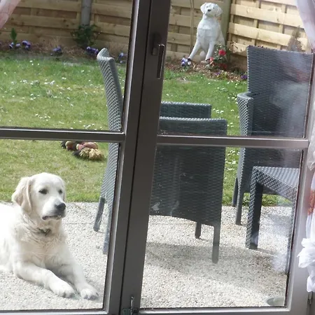 Mi Corazon Huisnummer 122