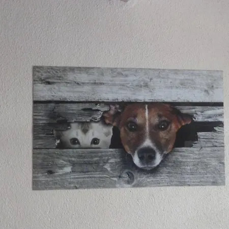 Mi Corazon Huisnummer 122 Maison d'hôtes