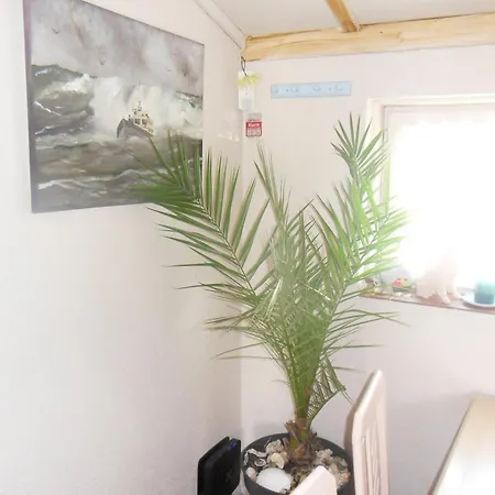 Mi Corazon Huisnummer 122 Maison d'hôtes La Panne