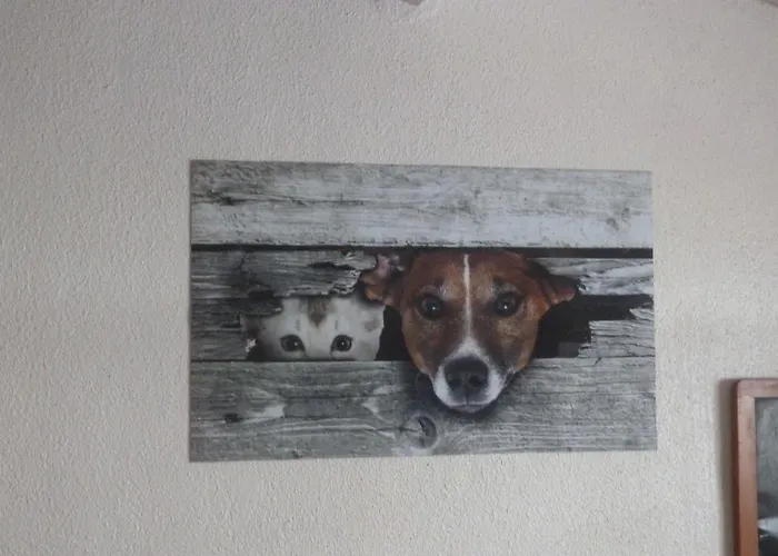 Mi Corazon Huisnummer 122 Konukevi