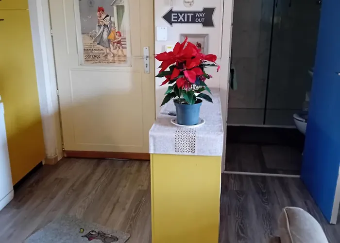 Mi Corazon Huisnummer 122 Konukevi 4*